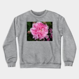 Pink Rose Photo - Vintage Crewneck Sweatshirt